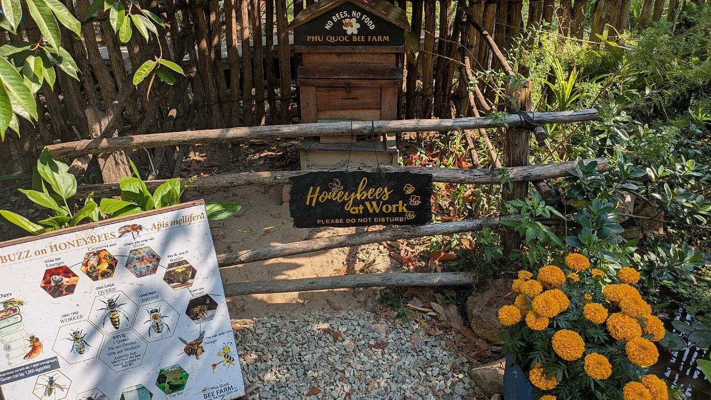 Phu Quoc Bee Farm - ảnh 4